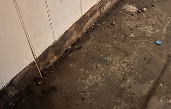 Suicide Cleanup in Rockwall, TX