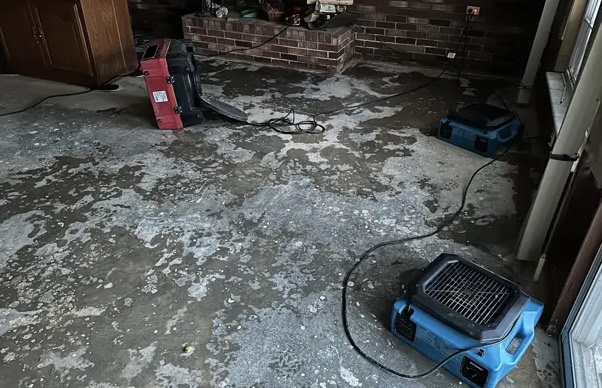 Tree Removal from Structures in Rockwall, TX