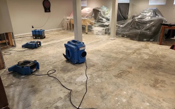 Deodorization Services in Rockwall, TX